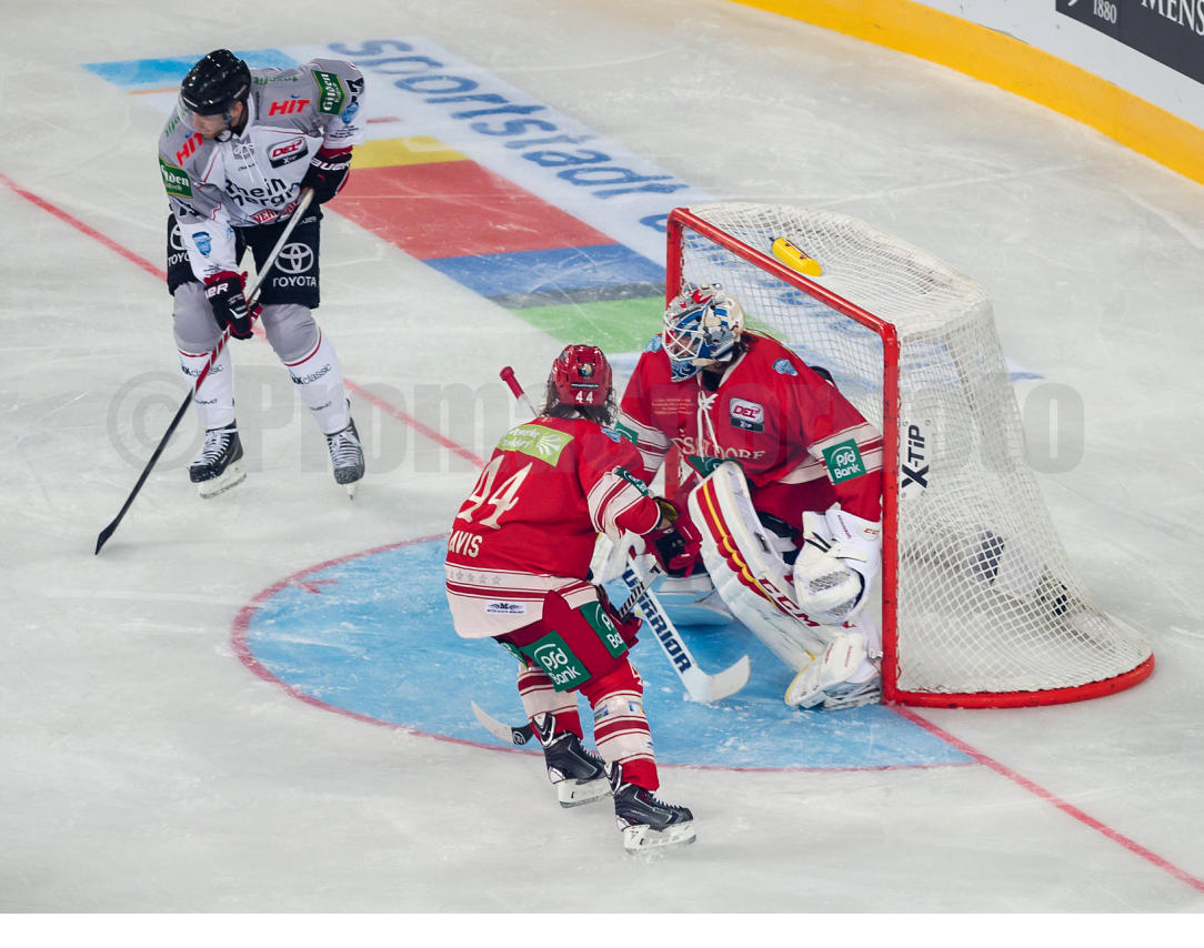 2. DEL Winter Game Düsseldorfer EG / Kölner Haie