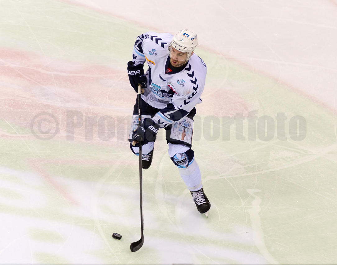Playoffs Viertelfinale Düsseldorfer EG / Hamburg Freezers