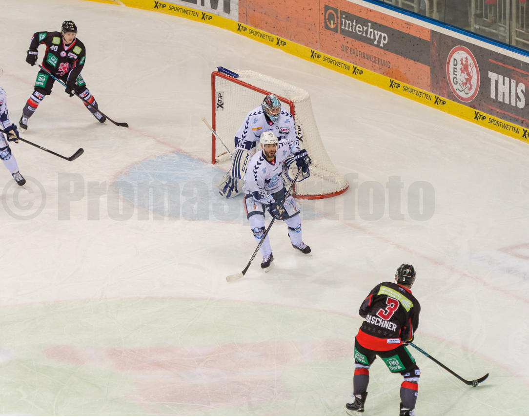 Playoffs Viertelfinale Düsseldorfer EG / Hamburg Freezers