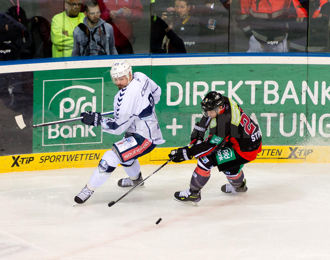 Playoffs Viertelfinale Düsseldorfer EG / Hamburg Freezers