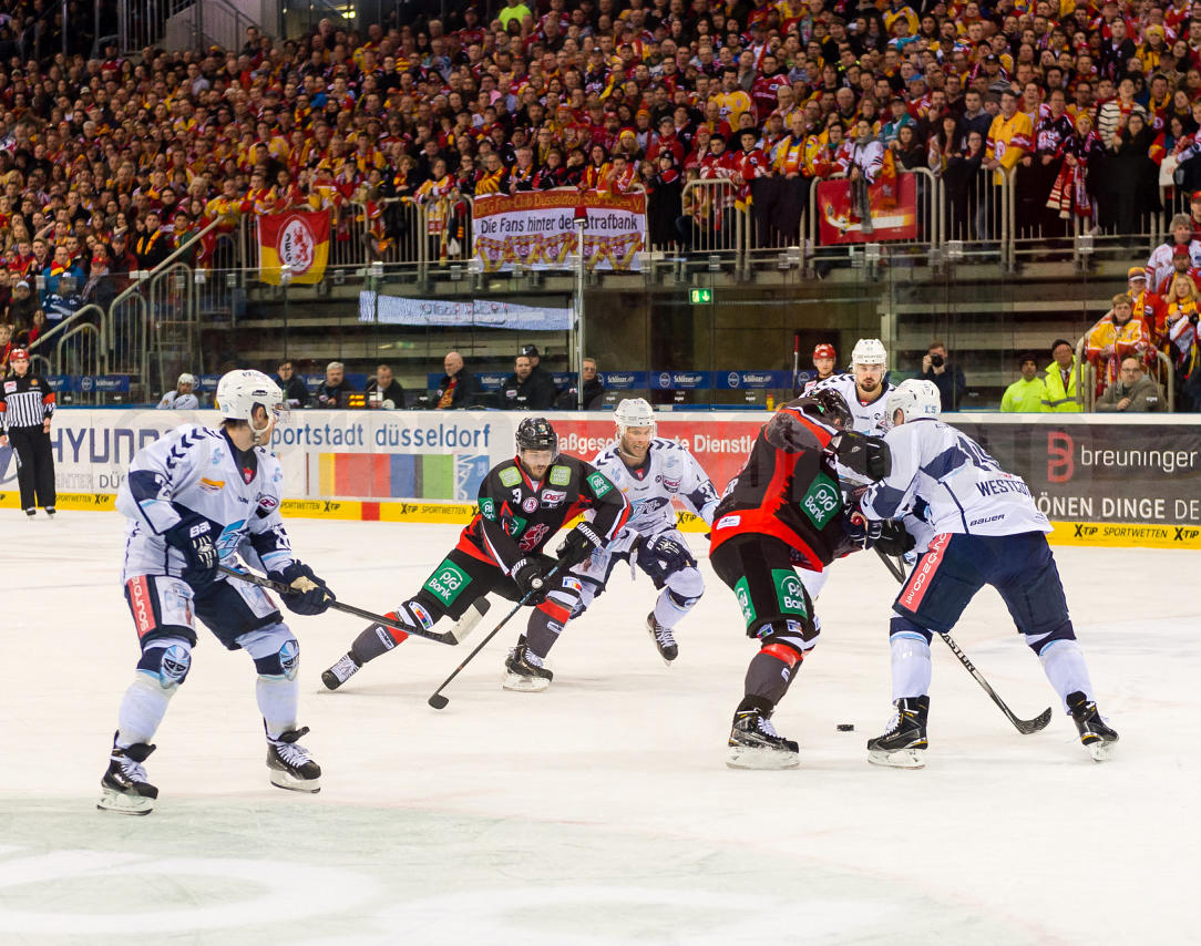 Playoffs Viertelfinale Düsseldorfer EG / Hamburg Freezers