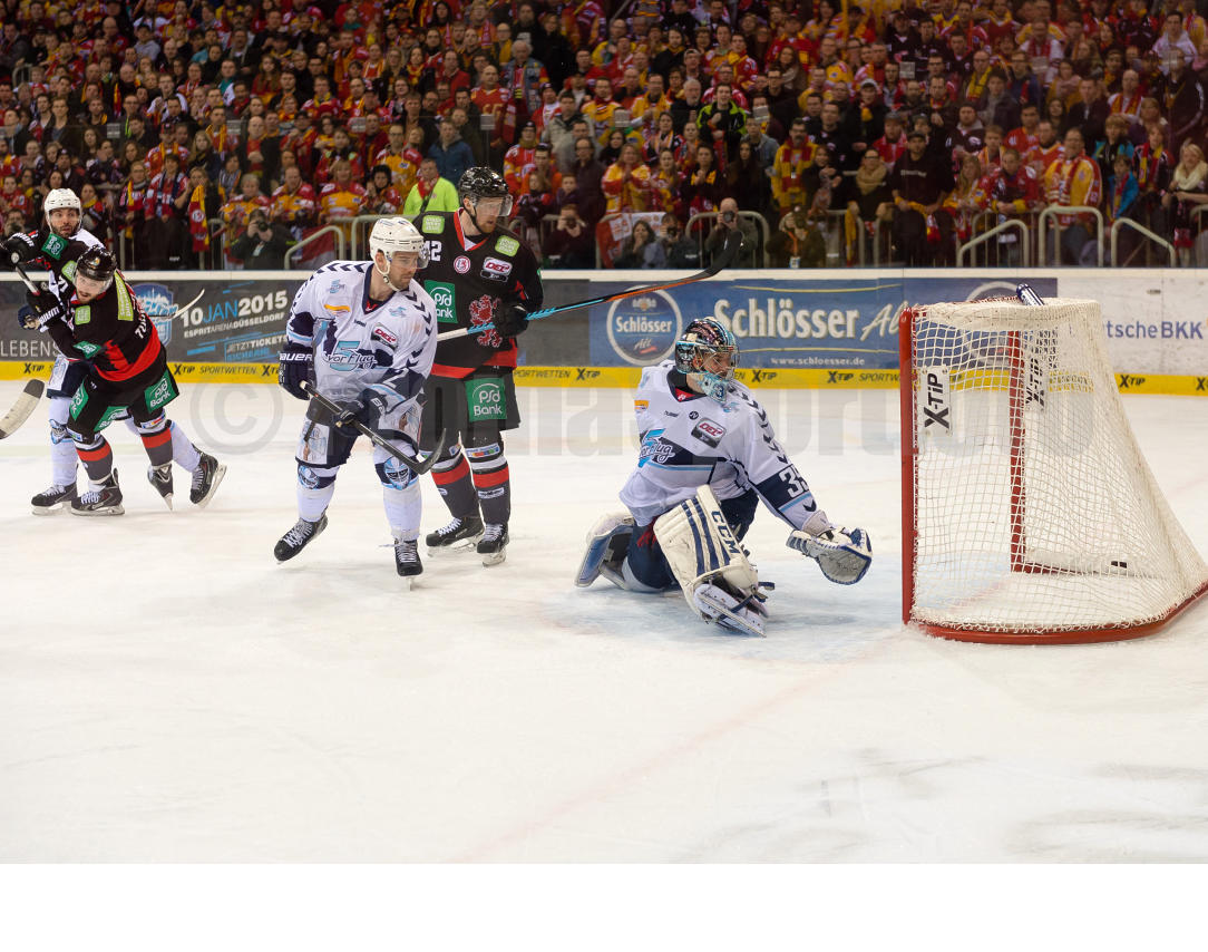 Playoffs Viertelfinale Düsseldorfer EG / Hamburg Freezers