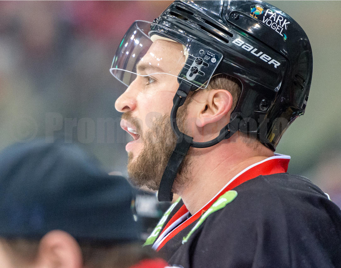 Playoffs Halbfinale Düsseldorfer EG / ERC Ingolstadt