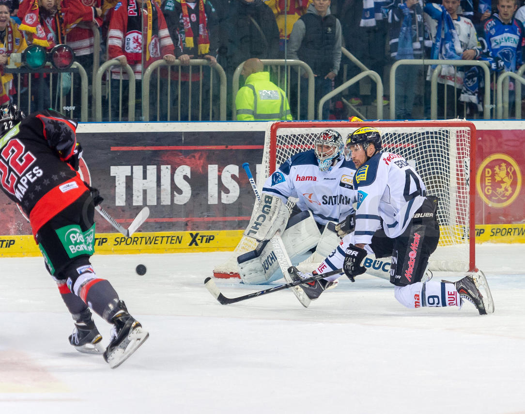 Playoffs Halbfinale Düsseldorfer EG / ERC Ingolstadt