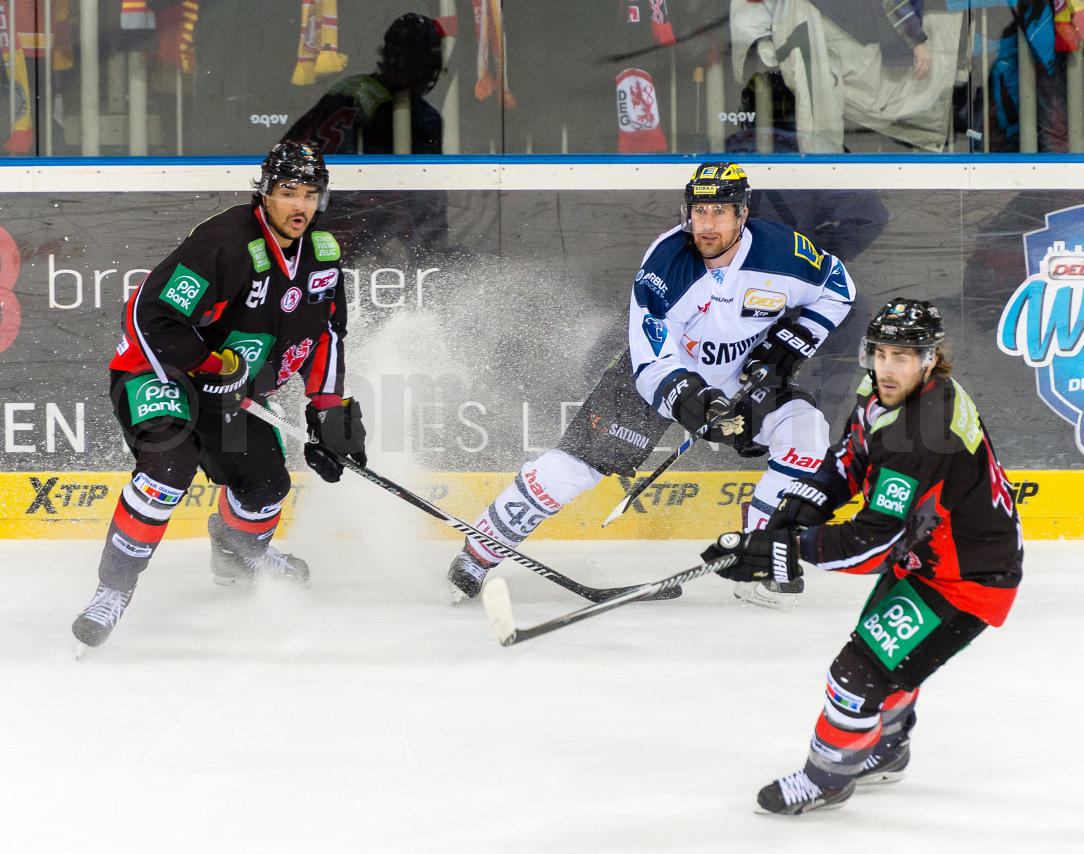 Playoffs Halbfinale Düsseldorfer EG / ERC Ingolstadt