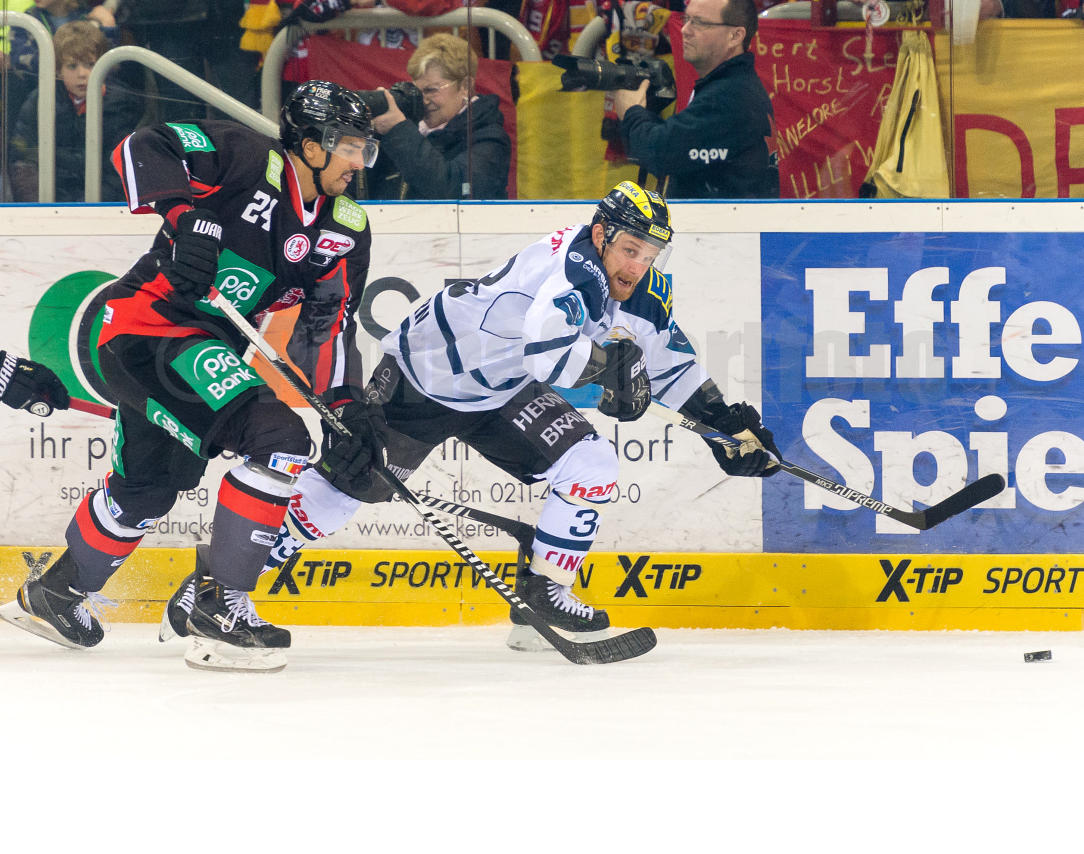 Playoffs Halbfinale Düsseldorfer EG / ERC Ingolstadt