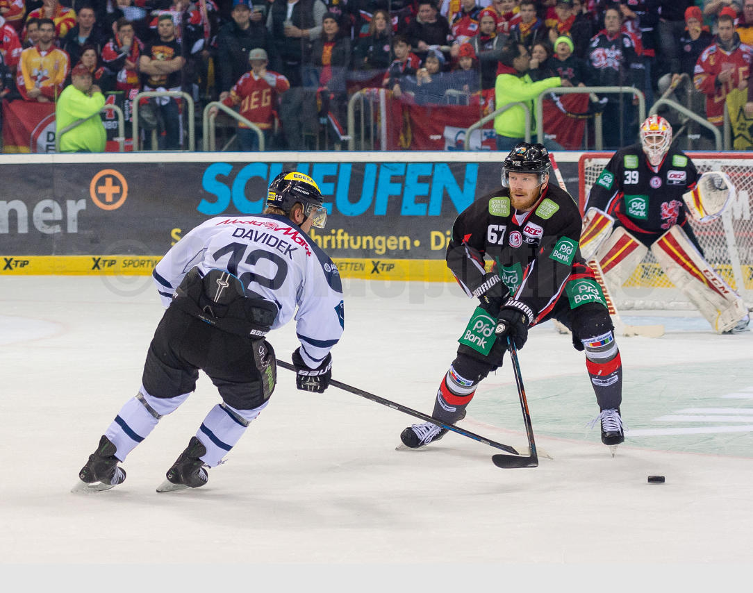 Playoffs Halbfinale Düsseldorfer EG / ERC Ingolstadt