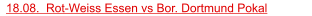18.08.  Rot-Weiss Essen vs Bor. Dortmund Pokal