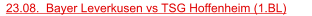 23.08.  Bayer Leverkusen vs TSG Hoffenheim (1.BL)