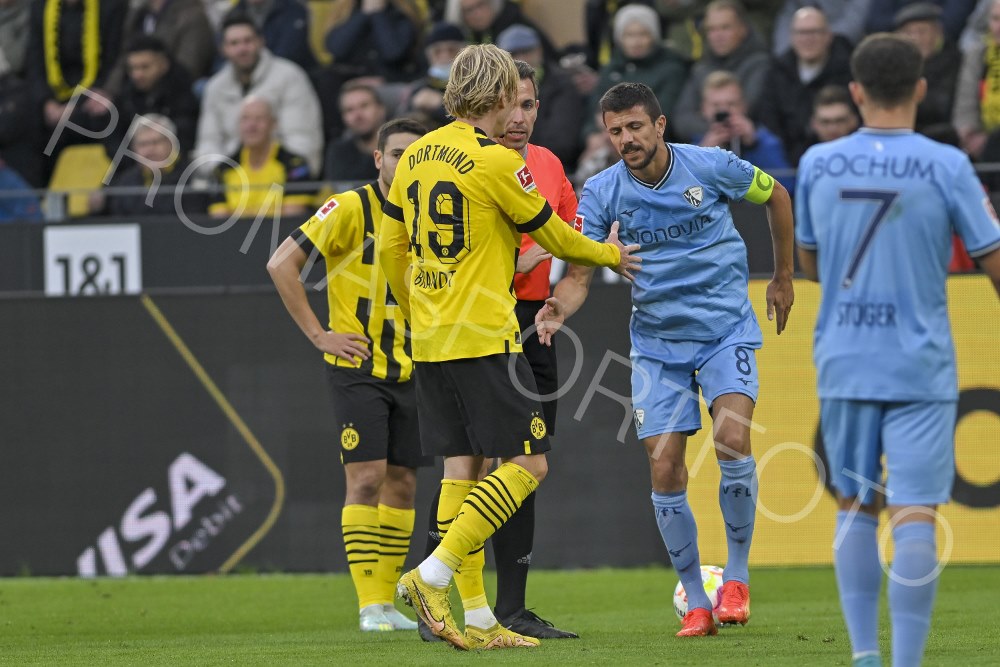 05. Nov. Borussia Dortmund / VfL Bochum (BL)