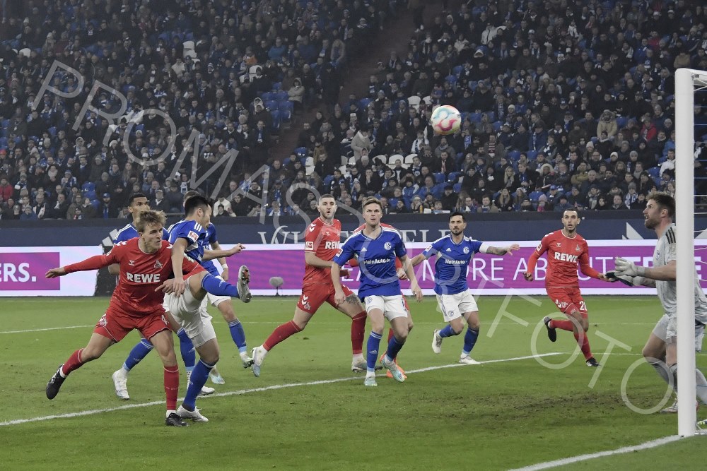29. Jan FC Schalke 04 / 1. FC Köln (BL)