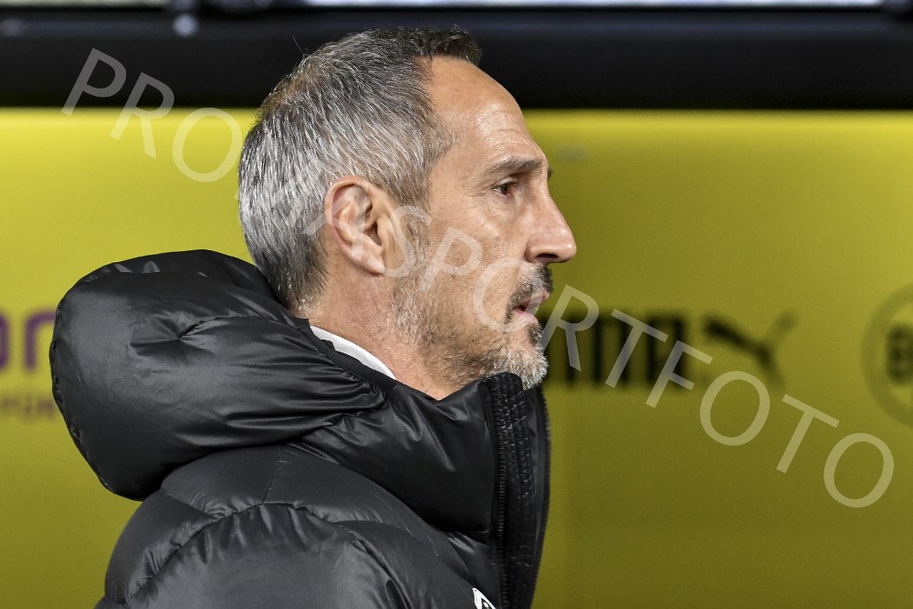 14. Feb. Borussia Dortmund / Eintracht Frankfurt (BL)