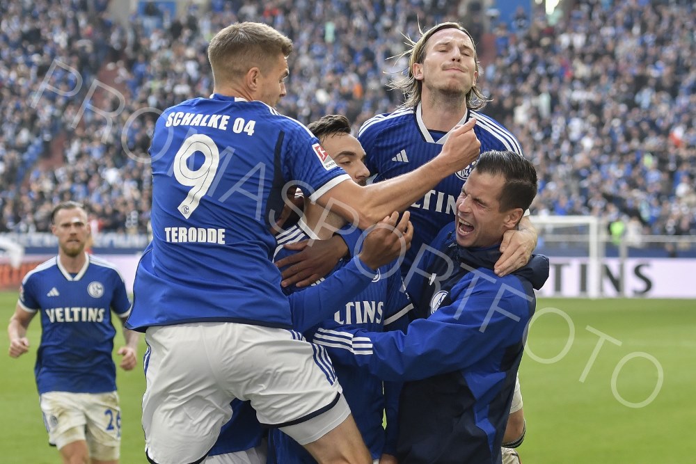 28. Okt FC Schalke 04 / Hannover 96 (2. BL)