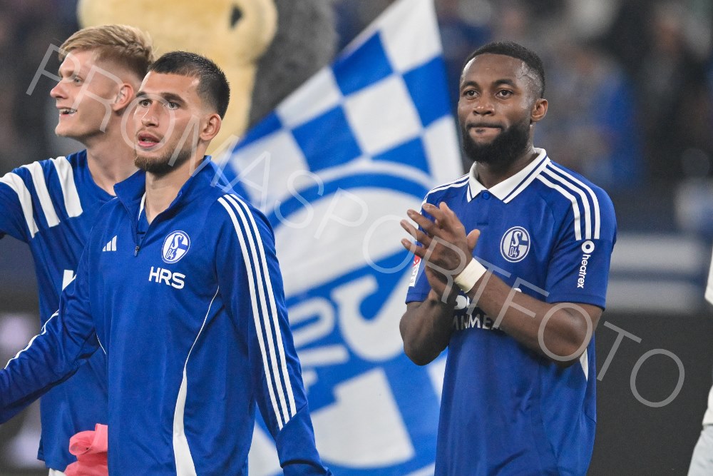 03. Aug FC Schalke 04 / Eintracht Braunschweig (2. BL)