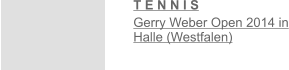 T E N N I S  Gerry Weber Open 2014 in Halle (Westfalen)